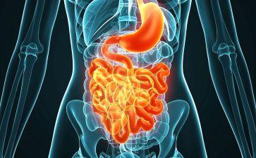 食用色素可能与肠道炎症相关